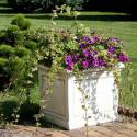 Box flower pot
