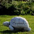 Figurka ogrodowa żółwik