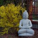 Sitzender Buddha in Meditation