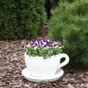 Cup - garden pot