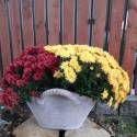 Flower pot shopping basket - large