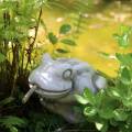 Water Frog - element of the fountain