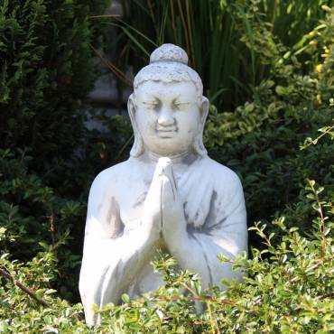Bust - praying monk