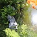 Żabki na korzeniu - element fontanny