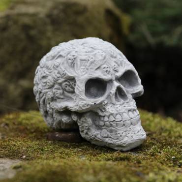 Skull with a pattern 2