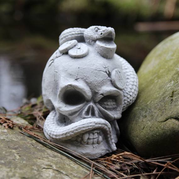 Skull with a snake