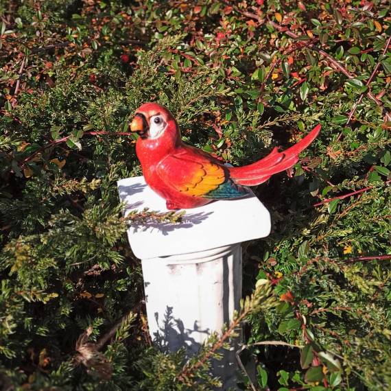 Ceramiczna papuga czerwona