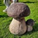 Large porcini mushrooms
