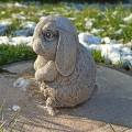 Standing bunny