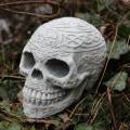 Skull with a pattern
