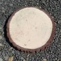 Płyta betonowa pień 25 cm - kolor