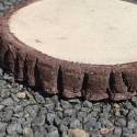 Paving tile trunk - 25 cm - colour