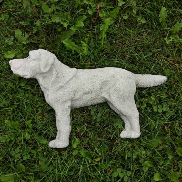 Pies Labrador Retriever - płaskorzeźba