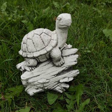 Schildkröte auf einem Baumstumpf