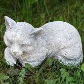Leżący Kot Szarak