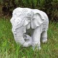 Little indian elephant