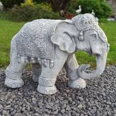 Großer indischer Elefant