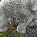 Słoń indyjski duży