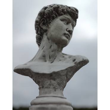 David bust on the pedestal