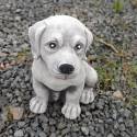 Labrador dog - small