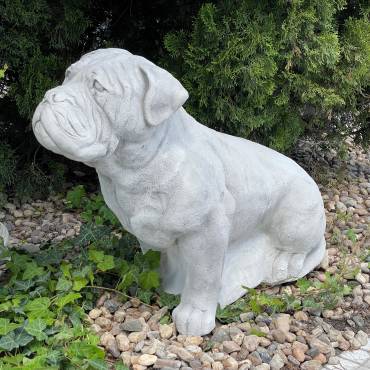 Sitzender Boxerhund -groß