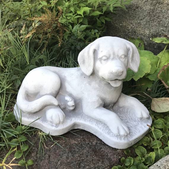Liegender Hund - kleiner Labrador