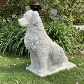 Sitting dog Labrador retriever - big